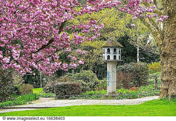 Taubenhaus im Fr?hling im Stadtgarten von Freiburg im Breisgau  Baden-W?rttemberg  Deutschland. Pigeon loft in spring in the city park of Freiburg im Breisgau  Baden-Wurttemberg  Germany.