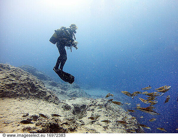 Taucher in Unterwasser. Antalya Kas Türkei