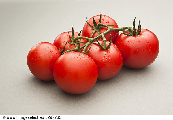 Taufrische Tomaten