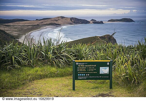 Te Paki Coastal Track Schild  mit Te Werahi Beach dahinter  Cape Reinga  Neuseeland