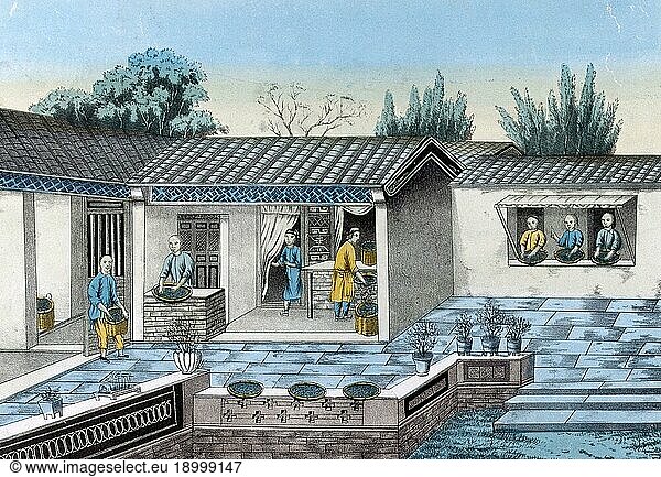 Tea  a tea plantation in China  workers rolling and sifting the tea leaves  1810  Historic  digitally restored reproduction from a 19th century original