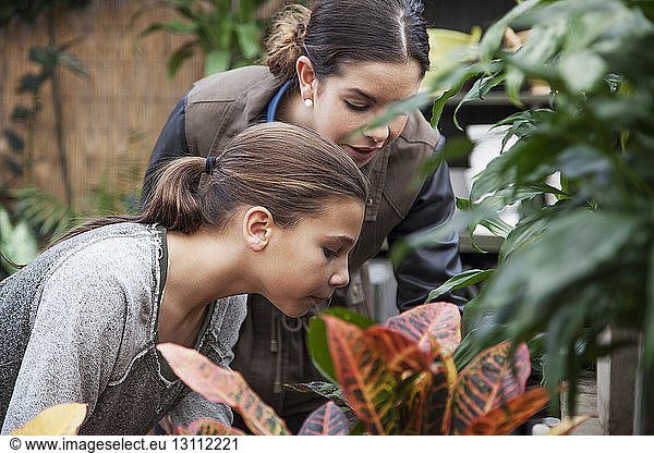 Teacher with student examining plants in nursery