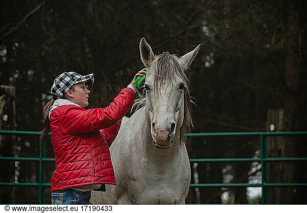 Teen girl brushing her white and grey horse