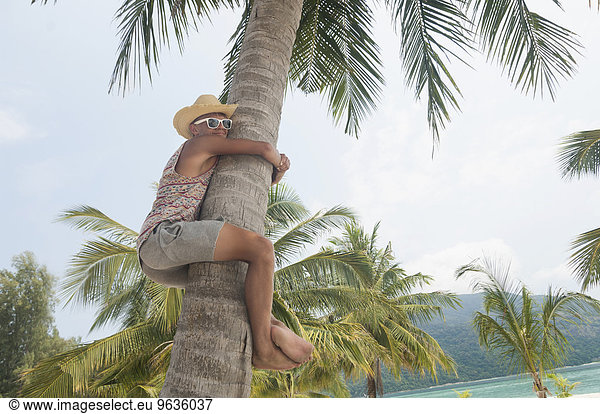 Teenage boy climbing palm tree