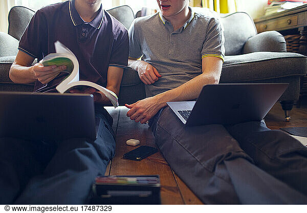 Teenage brothers with laptops and textbook doing homework