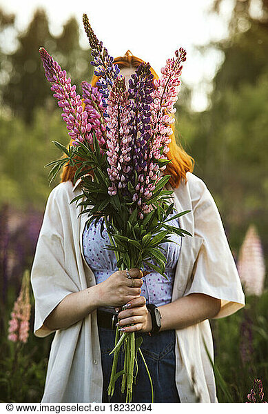 Teenage girl covering face with lupin flowers