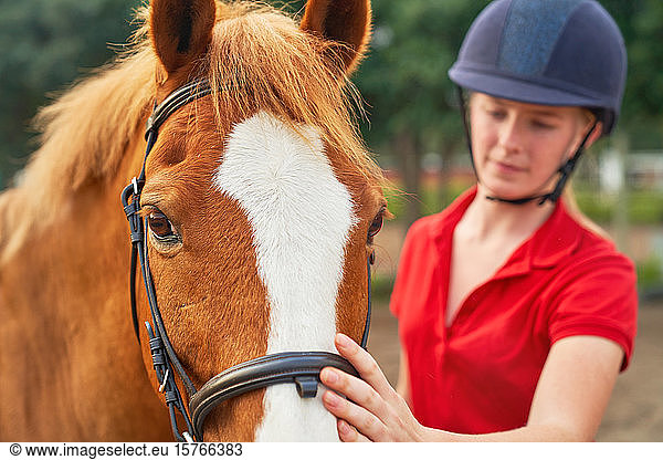 Teenage girl in equestrian helmet petting horse
