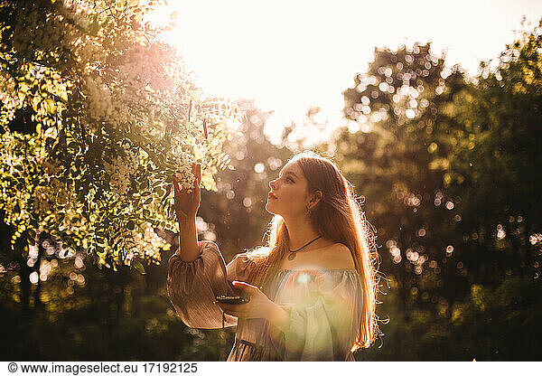 Teenage girl touching flowering branch in park during summer
