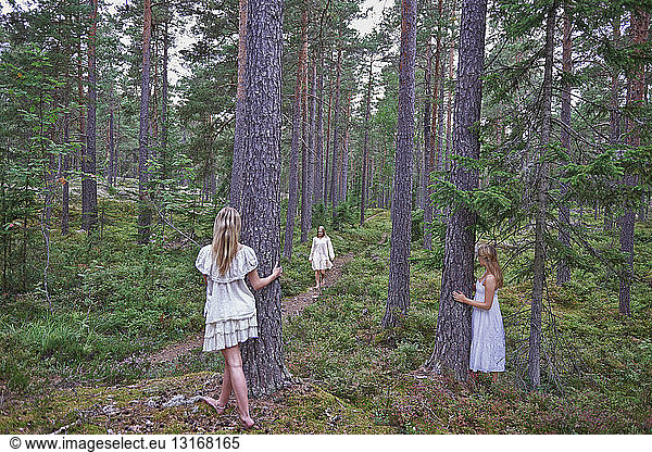 Teenage girls by tree trunks in forest