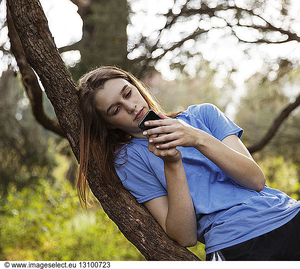 Teenager-Mädchen schreibt SMS im Baum