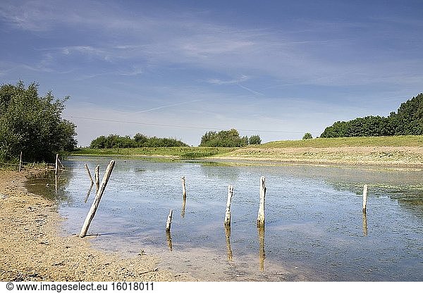 Teich im Flussvorland des Flusses Waal in der Nähe des niederländischen Dorfes Ochten.