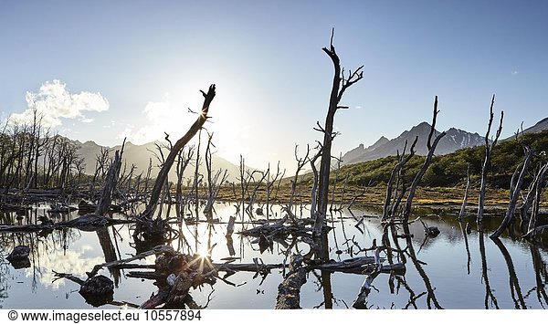 Teich im Gegenlicht  Tierra del Fuego Nationalpark  Feuerland  Argentinen