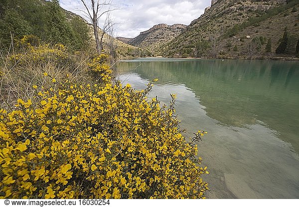 Teich Las Balagueras in den Gudar-Bergen Mora de Rubielos Teruel Aragon Spanien.