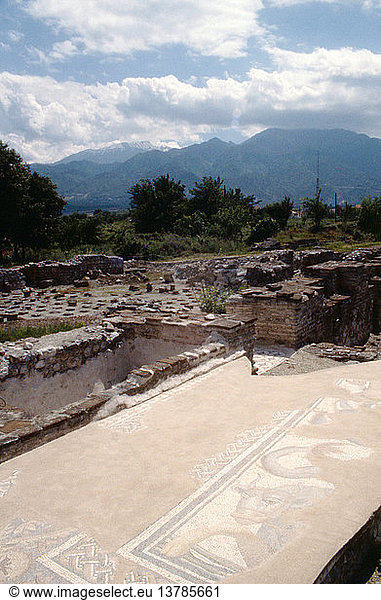 Teil eines Mosaiks  das einen Stier in Dion darstellt  mit dem Berg Olympus im Hintergrund. Griechenland. Altgriechisch. Klassische und hellenistische Periode. Dion.