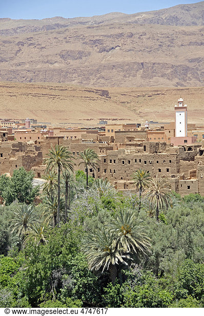Teilweise verfallene Häuser in der Oasenstadt Tinerhir Region Souss-Massa-Dara‚ Marokko Afrika