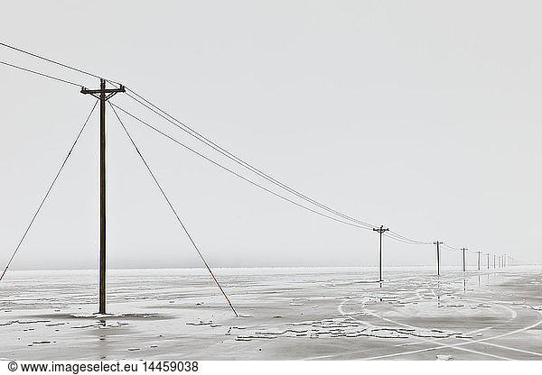 Telefonmasten in trostloser Winterlandschaft