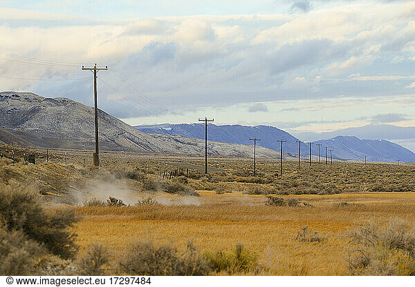 Telephone poles going off into the distance in the desert