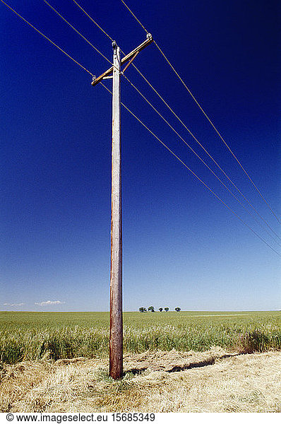 telephone poles  sky  solitude