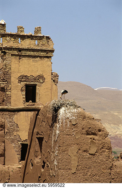 Telouet Kasbah  Marokko  Nordafrika  Afrika