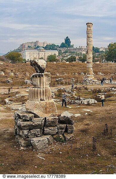 Tempel der Artemis  Artemision von Ephesos  Ephesus  Türkei  Asien