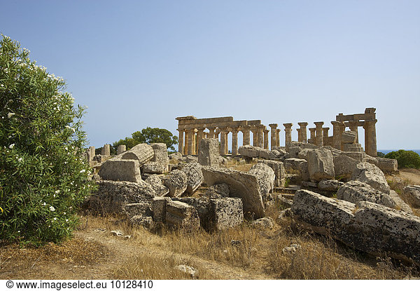 Tempel E  Tempel der Hera  Selinunt  Trabant  Sizilien  Italien  Europa