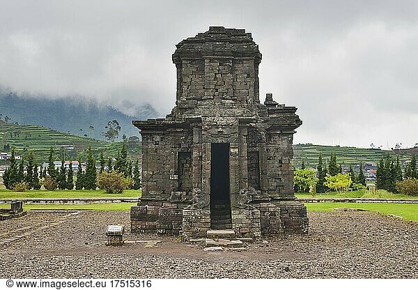 Tempel im Hindu-Tempelkomplex Candi Arjuna  Dieng-Plateau  Zentral-Java  Indonesien  Asien  Asien