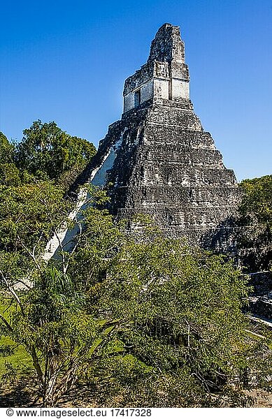 Tempel 1  Tempel des Großen Jaguars  Maya-Ruinenstadt  Tikal  Guatemala  Mittelamerika