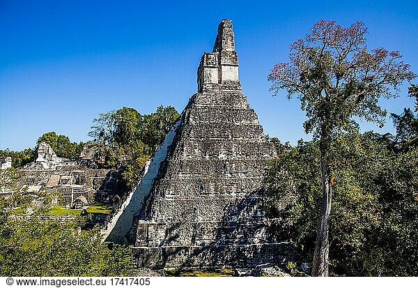 Tempel 1  Tempel des Großen Jaguars  Maya-Ruinenstadt  Tikal  Guatemala  Mittelamerika