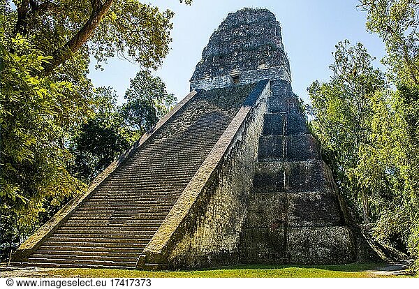 Tempel V  Maya-Ruinenstadt  Tikal  Guatemala  Mittelamerika