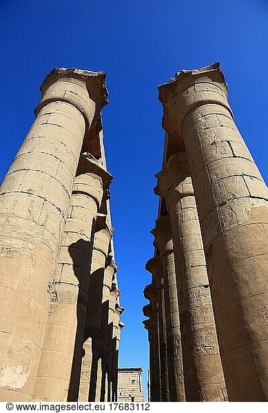 Tempel von Luxor  Säulen in der Tempelanlage  UNESCO-Weltkulturerbe  Oberägypten  Ägypten  Afrika
