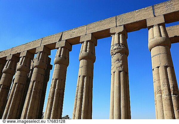 Tempel von Luxor  Säulen in der Tempelanlage  UNESCO-Weltkulturerbe  Oberägypten  Ägypten  Afrika