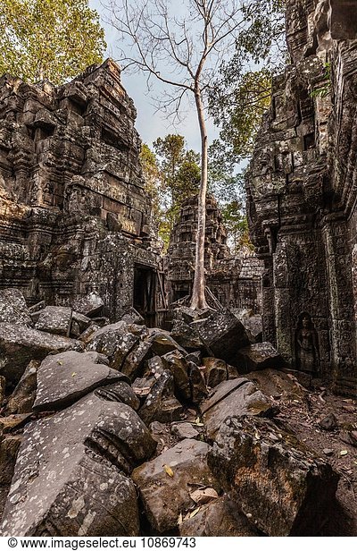 Tempelruinen von Ta Nei  Angkor-Komplex  Kambodscha