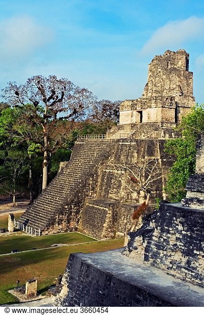 Temple II. Mayan ruins of Tikal. Peten region. Guatemala.