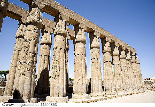 Temple  Luxor  Egypt  North Africa  Africa