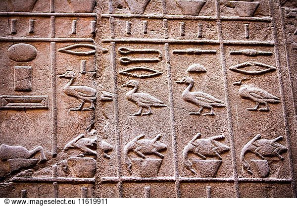 Temple of Luxor  Luxor city  Egypt
