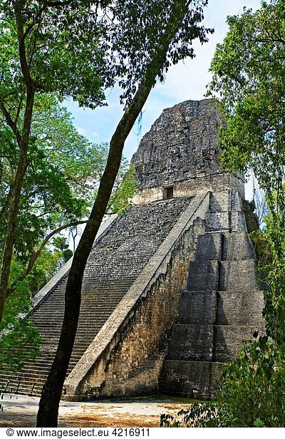 Temple V. Mayan ruins of Tikal. Peten region. Guatemala.