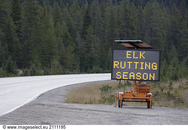 Temporary warning sign posted along highway during Elk rutting season  Jasper National Park  Alberta  Canada.