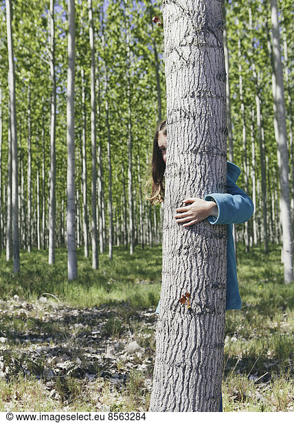 Ten year old girl peering behind commercially grown poplar tree on large tree farm  near Pendleton