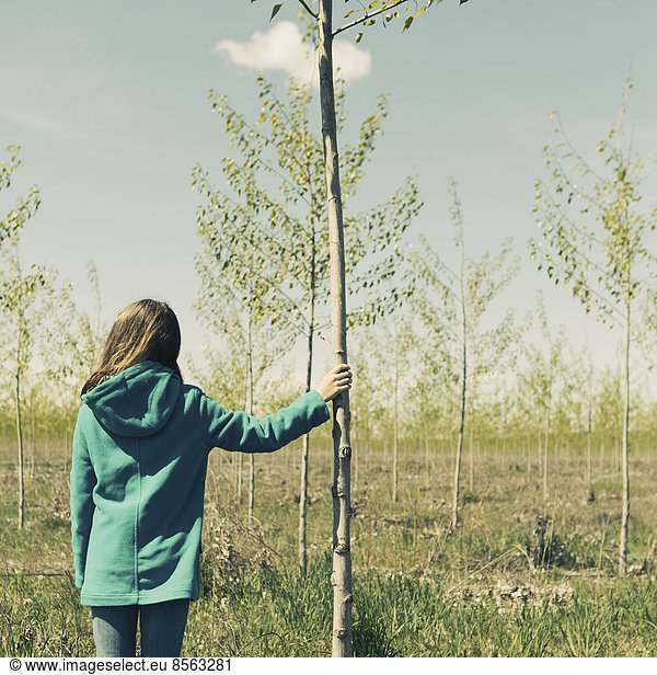 Ten year old girl standing next to commercially grown poplar tree on large tree farm  near Pendleton  Oregon.