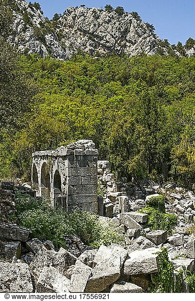 Termessos  antike Ruinenstätte  Türkei  Termessos  Türkei  Asien