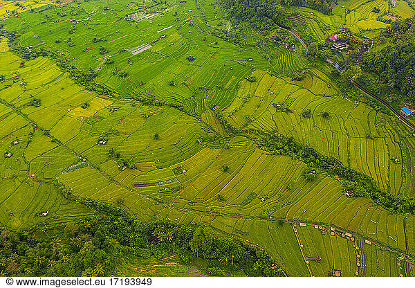 Terraced rice fields with small rural farms in Bali  Indonesia Top down overhead aerial birds eye view of lush green paddy field plantations on the hill