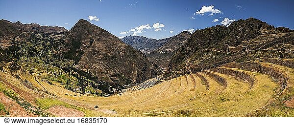 Terrassen bei den Inkaruinen von Pisac  Heiliges Tal der Inkas (Urubambatal)  nahe Cusco  Peru