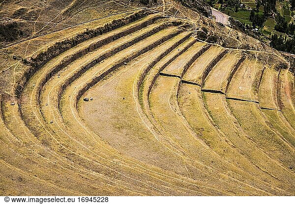 Terrassen bei den Inkaruinen von Pisac  Heiliges Tal der Inkas (Urubambatal)  nahe Cusco  Peru