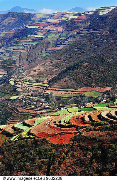 Terrassenfelder  Yunnan  China.