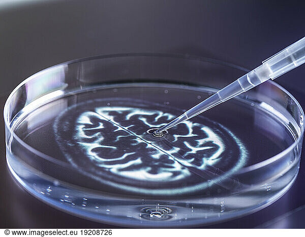 Testing of DNA in laboratory