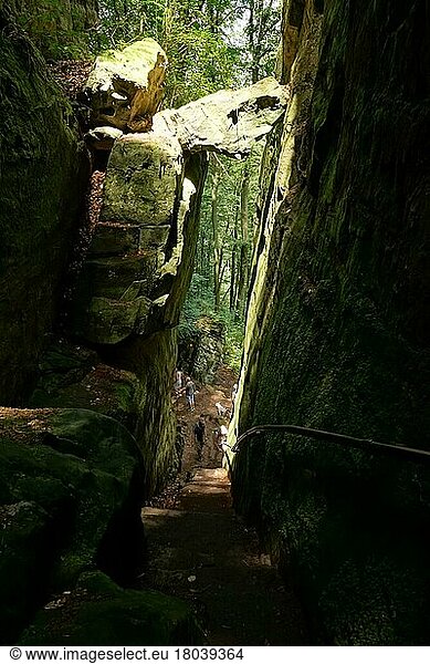 Teufelsschlucht  zwischen Irrel and Ernzen  Naturpark Südeifel  Eifel  Rheinland-Pfalz  Deutschand  Deutsch-Luxemburgischer Naturpark