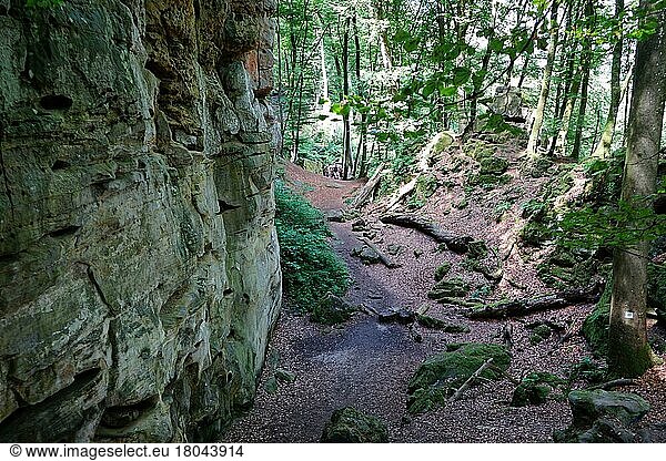 Teufelsschlucht  zwischen Irrel and Ernzen  Naturpark Südeifel  Eifel  Rheinland-Pfalz  Deutschand  Deutsch-Luxemburgischer Naturpark