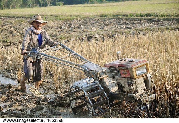 Thailand: farmer at work in a field along the road to Mae Salong