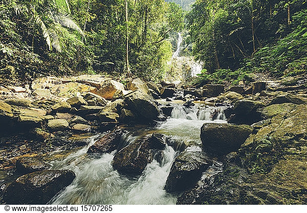 Thailand  Forest stream flowing between rocks