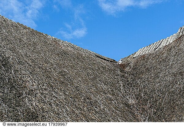 Thatched roof in need of renovation on house in the district of Cuxhaven  Lower Saxony  Germany  Europe